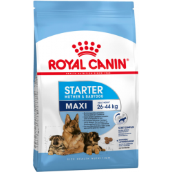Royal Canin Perro Maxi Starter