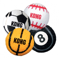 Kong pelotas sport