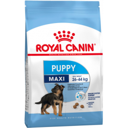 Royal Canin Perro Maxi Puppy